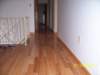 redphoto19_small.jpg